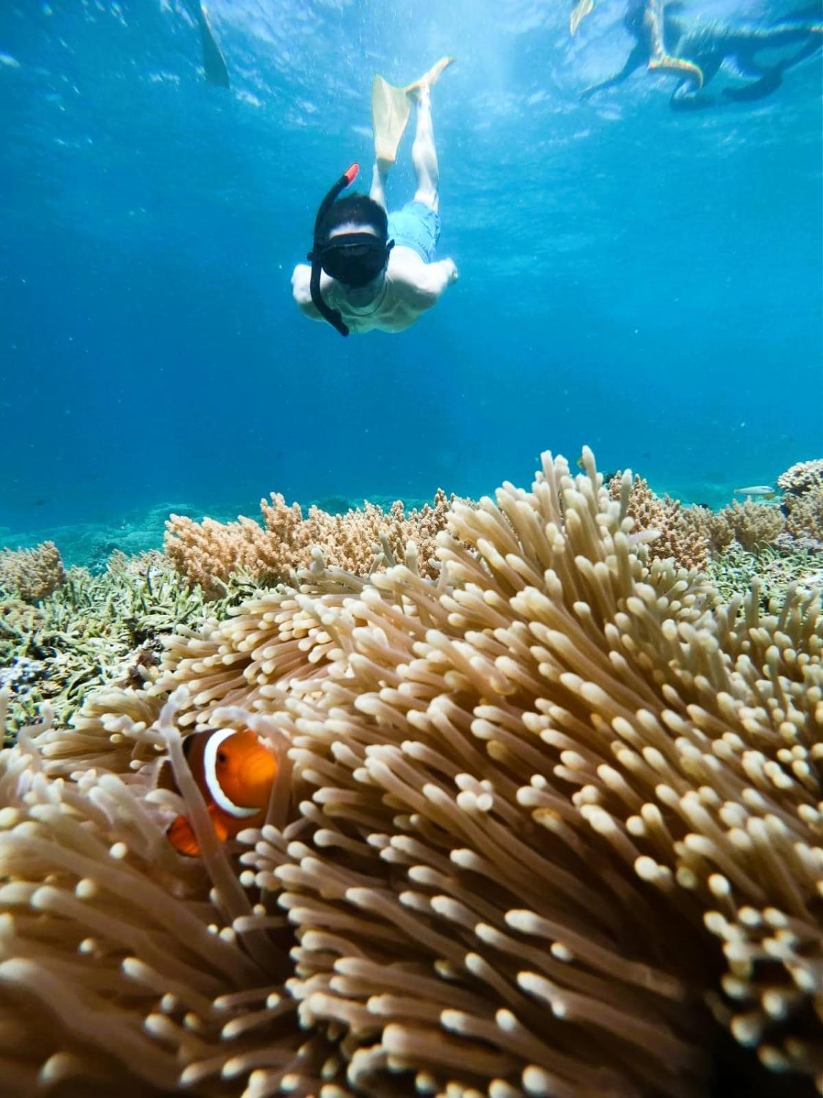 Gili Mesari & Homestay *