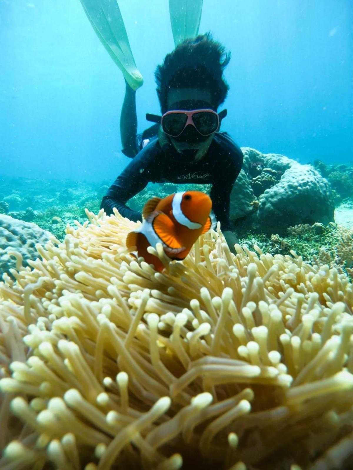Gili Mesari & * Gili Trawangan