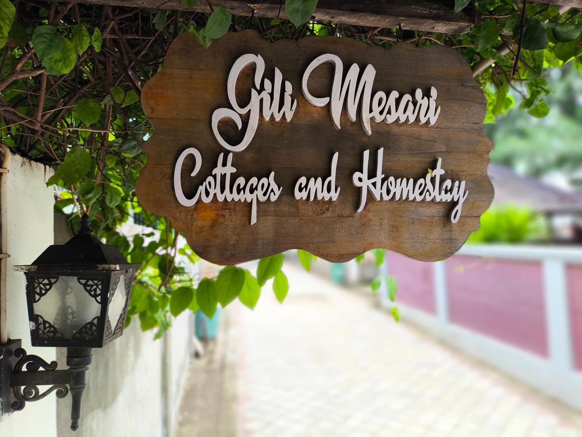 Gili Mesari & Homestay Gili Trawangan