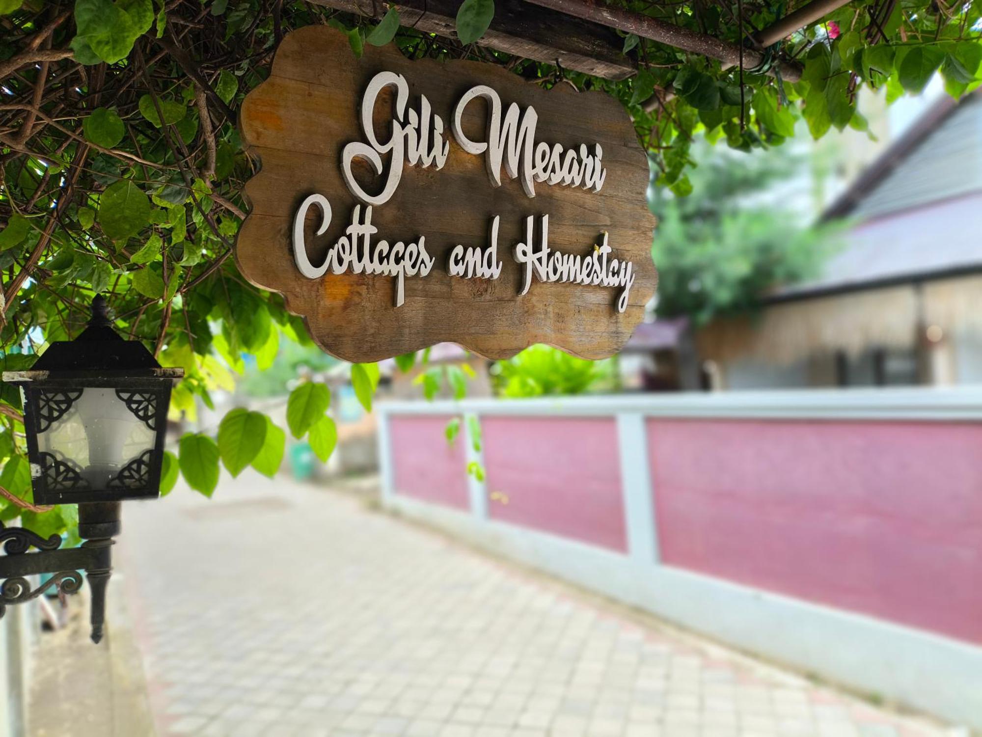 Gili Mesari & *