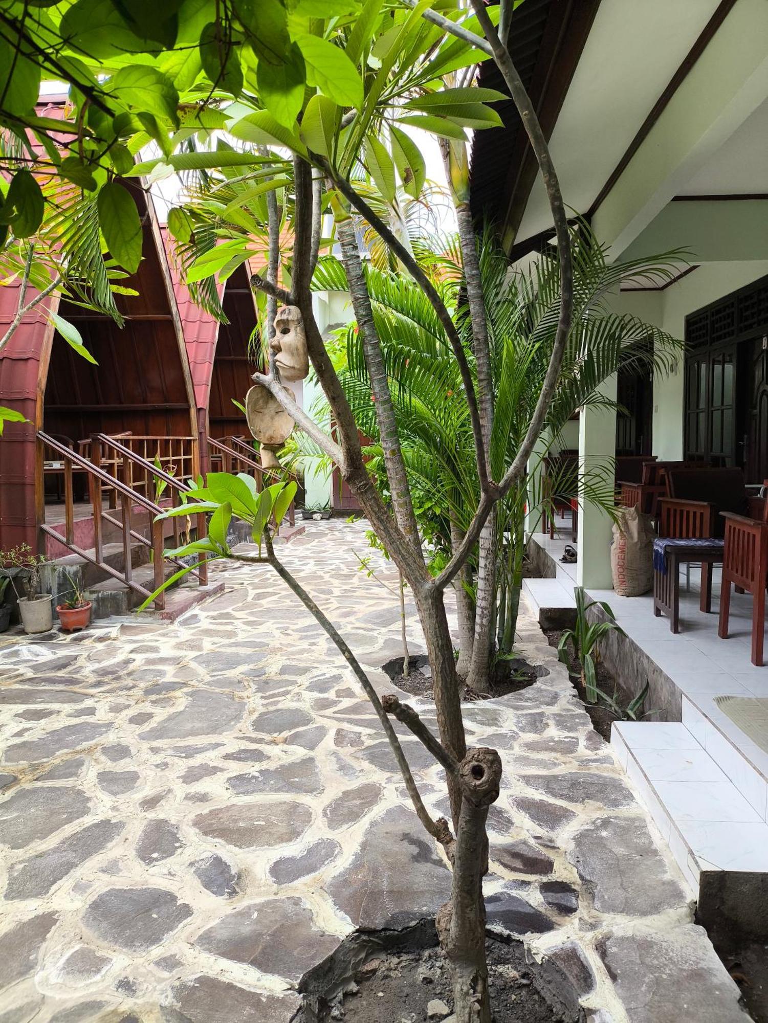 Gili Mesari & Gili Trawangan