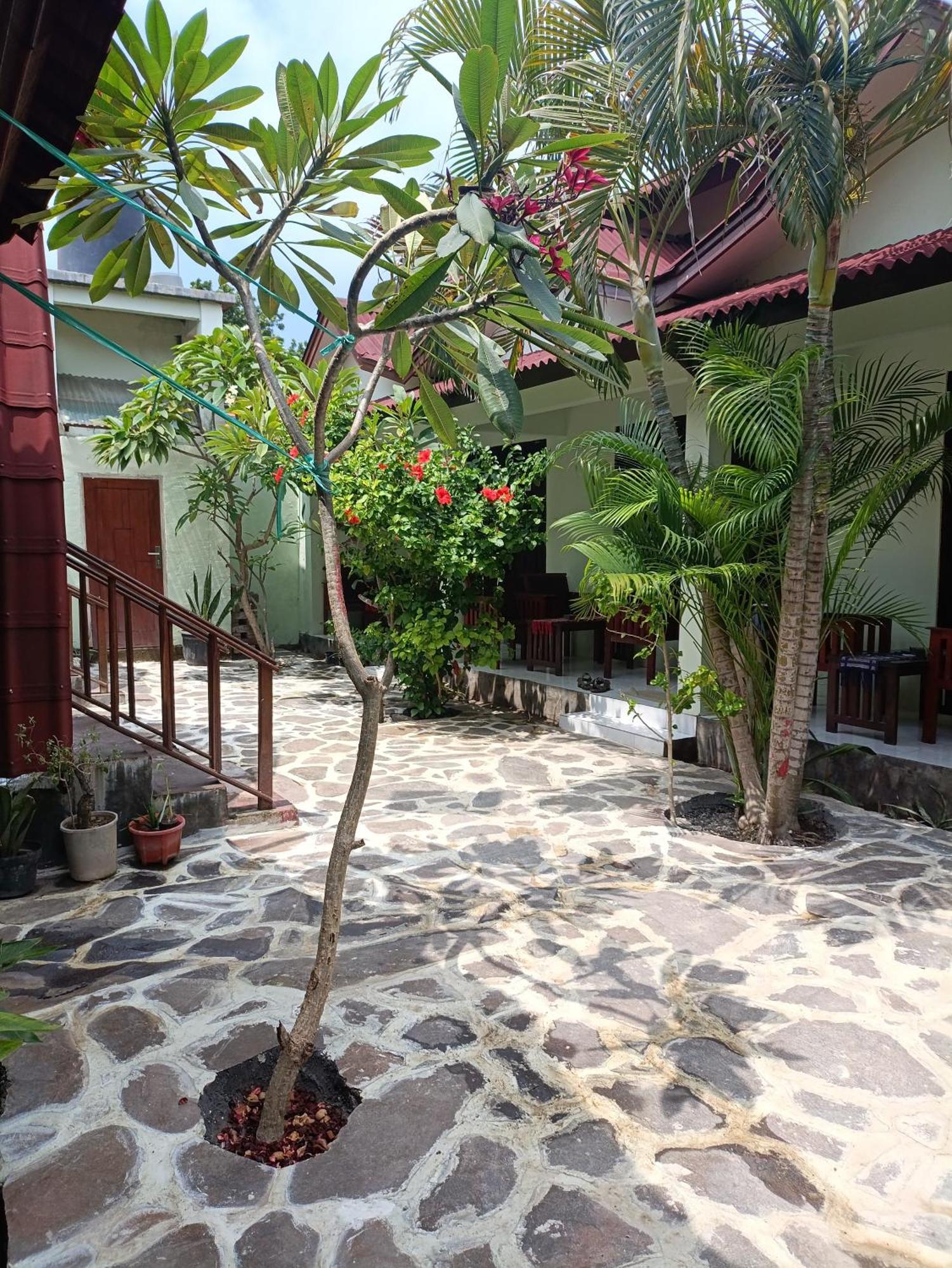 Gili Mesari &