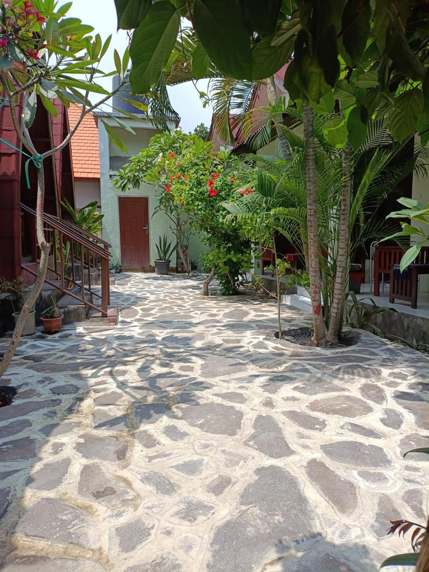Gili Mesari & *