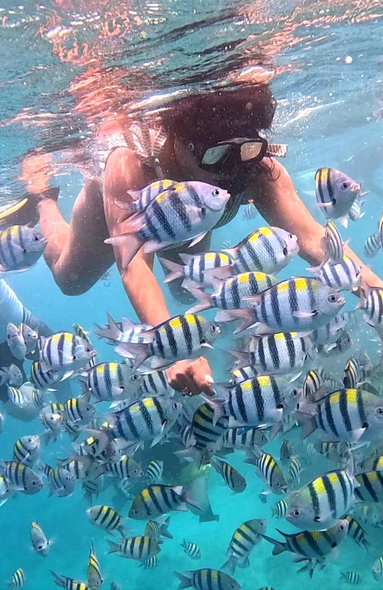 Homestay Gili Mesari &